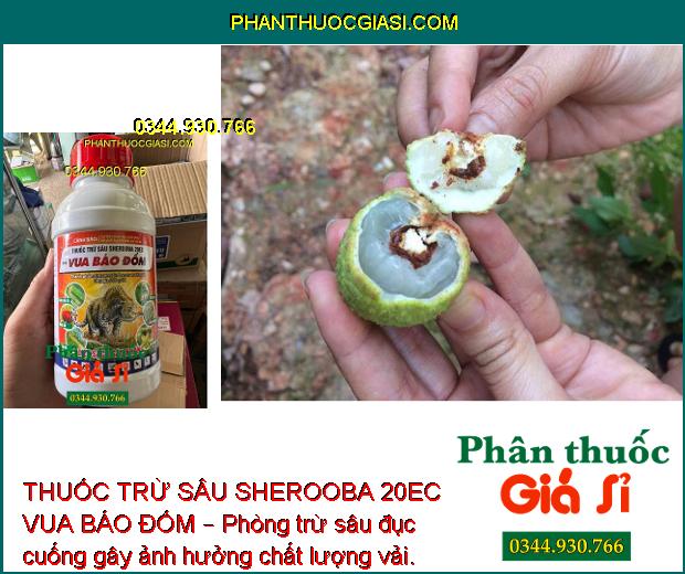 THUỐC TRỪ SÂU SHEROOBA 20EC VUA BÁO ĐỐM – Đặc Trừ Sâu Cuốn Lá- Sâu Khoang Hại Lạc