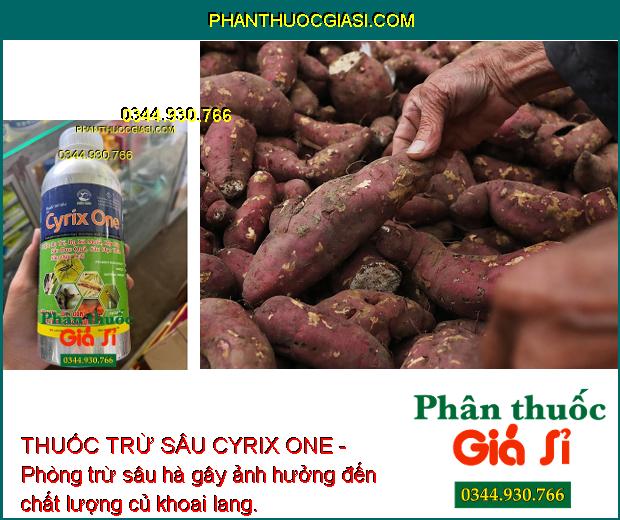 THUỐC TRỪ SÂU CYRIX ONE - Phòng Trừ Các Loại Sâu Và Côn Trùng Gây Hại