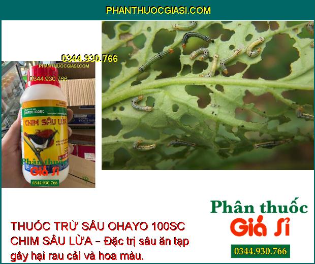 THUỐC TRỪ SÂU OHAYO 100SC CHIM SÂU LỬA – Diệt Trừ Hiệu Quả Nhiều Loại Sâu Gây Hại