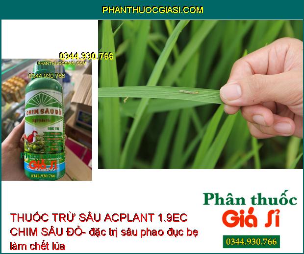 THUỐC TRỪ SÂU ACPLANT 1.9EC CHIM SÂU ĐỎ- Diệt Thần Tốc Các Loại Sâu