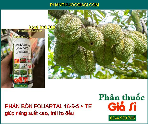 PHÂN BÓN FOLIARTAL 16-6-5 + TE làm trái to đều, giúp tăng năng suất, hiệu quả cao