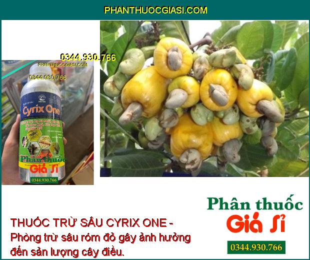 THUỐC TRỪ SÂU CYRIX ONE - Phòng Trừ Các Loại Sâu Và Côn Trùng Gây Hại