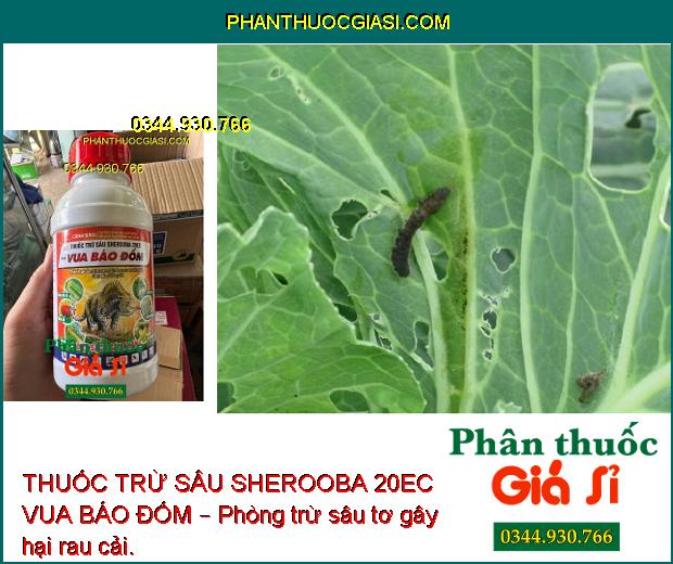 THUỐC TRỪ SÂU SHEROOBA 20EC VUA BÁO ĐỐM – Đặc Trừ Sâu Cuốn Lá- Sâu Khoang Hại Lạc