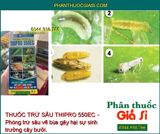 THUỐC TRỪ SÂU THIPRO 550EC – Đặc Trị Các Loại Sâu Rầy Gây Hại