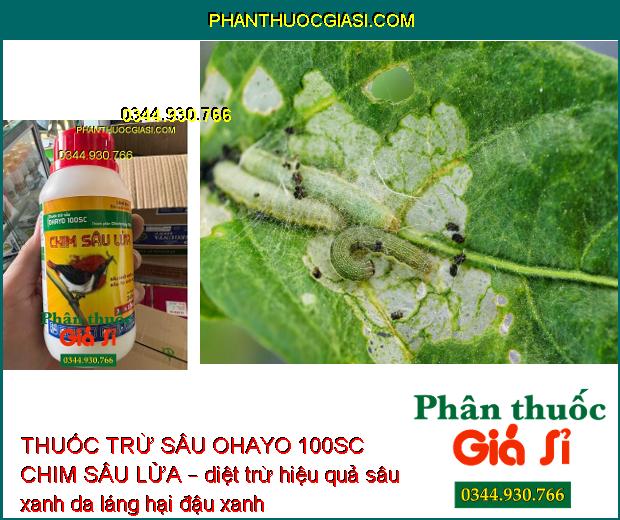 THUỐC TRỪ SÂU OHAYO 100SC CHIM SÂU LỬA – Diệt Trừ Hiệu Quả Nhiều Loại Sâu Gây Hại