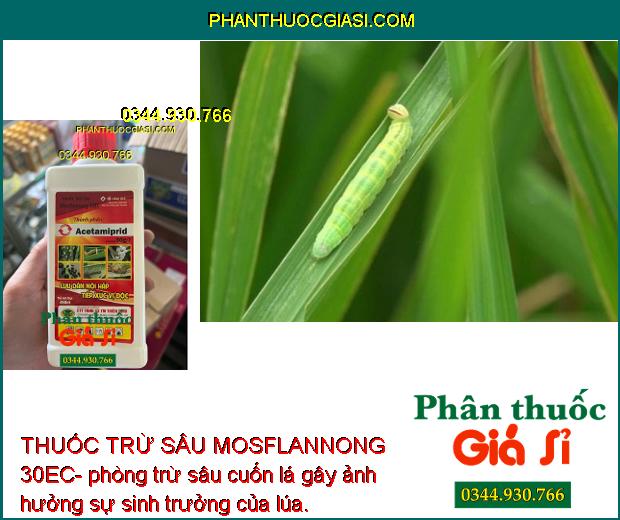 THUỐC TRỪ SÂU MOSFLANNONG 30EC – Đặc Trị Bọ Trĩ- Sâu Cuốn Lá- Rầy Nâu