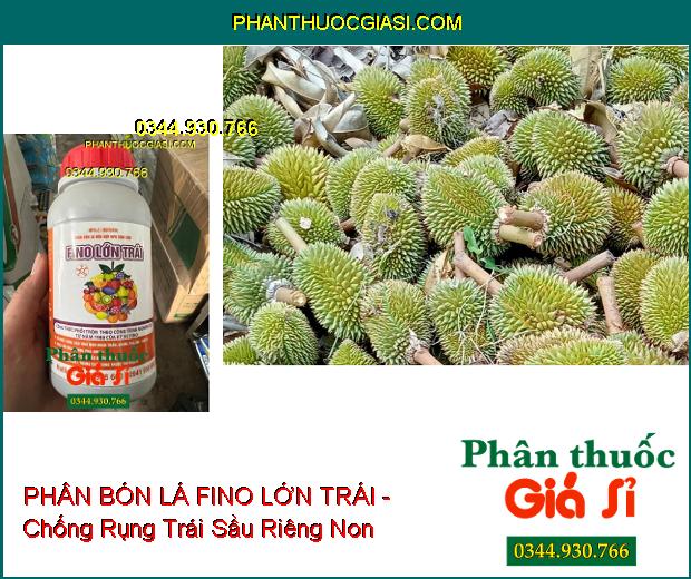 Sử dụng PHÂN BÓN LÁ FINO LỚN TRÁI chống rụng trái sầu riêng non, tăng năng suất, đath hiệu quả cao.