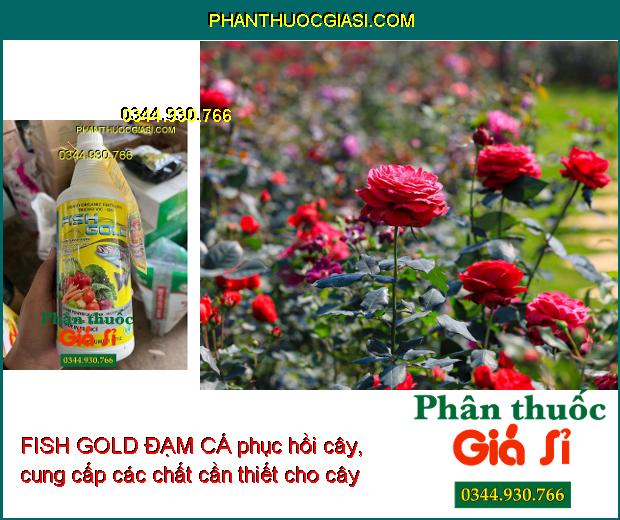 Sử dụng FISH GOLD ĐẠM CÁ giúp phục hồi cây, cung cấp các chất dinh dưỡng cần thiết