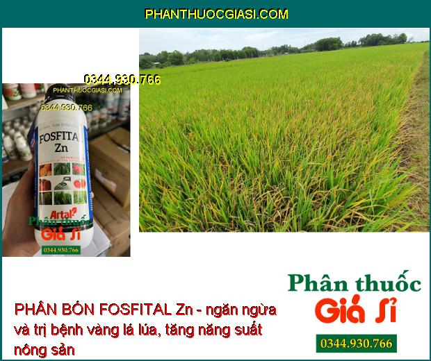 PHÂN BÓN FOSFITAL Zn - Bộ Rễ Khỏe- Lá Xanh- Ra Hoa Đậu Trái- Ngăn Ngừa Bệnh