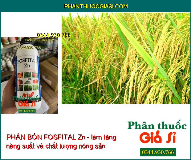 PHÂN BÓN FOSFITAL Zn - Bộ Rễ Khỏe- Lá Xanh- Ra Hoa Đậu Trái- Ngăn Ngừa Bệnh