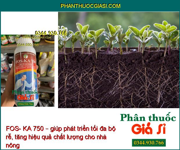 FOS- KA 750 – Đặc Trị Vàng Lá- Thối Rễ- Giúp Phát Triển Bộ Rễ