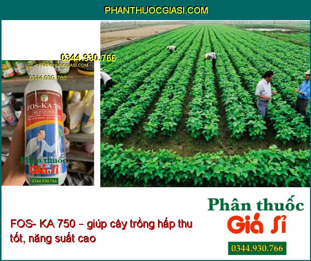 FOS- KA 750 – Đặc Trị Vàng Lá- Thối Rễ- Giúp Phát Triển Bộ Rễ