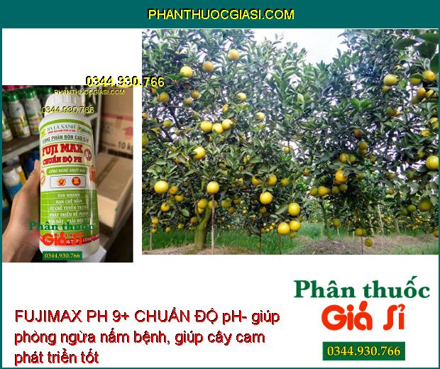 FUJIMAX PH 9+ CHUẨN ĐỘ pH