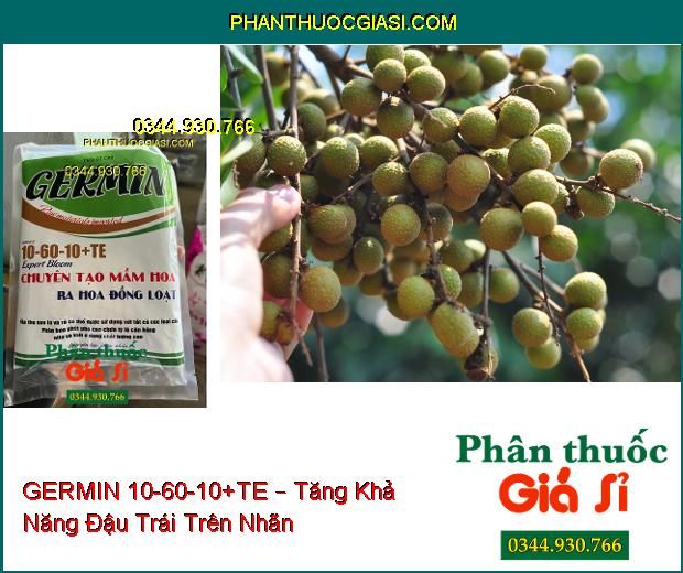 GERMIN 10-60-10+TE – Chuyên Tạo Mầm Hoa- Tăng Đậu Trái- Tăng Năng Suất