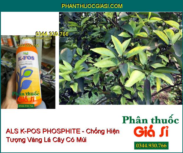 ALS K-POS PHOSPHITE - Ức Chế Nứt Thân Xì Mủ- Vàng Lá- Phục Hồi Rễ