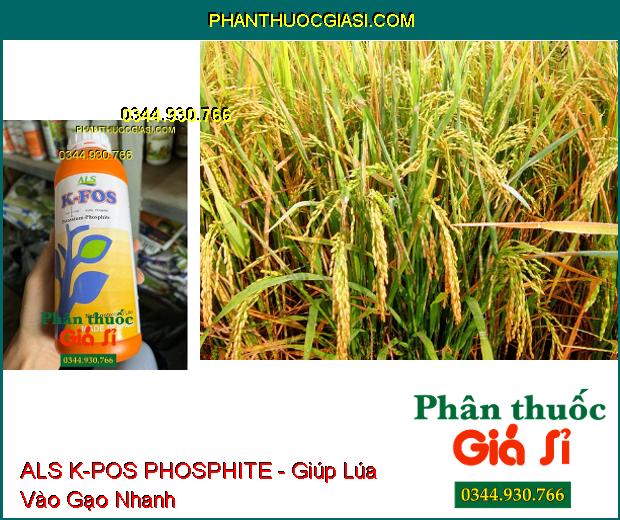 ALS K-POS PHOSPHITE - Ức Chế Nứt Thân Xì Mủ- Vàng Lá- Phục Hồi Rễ