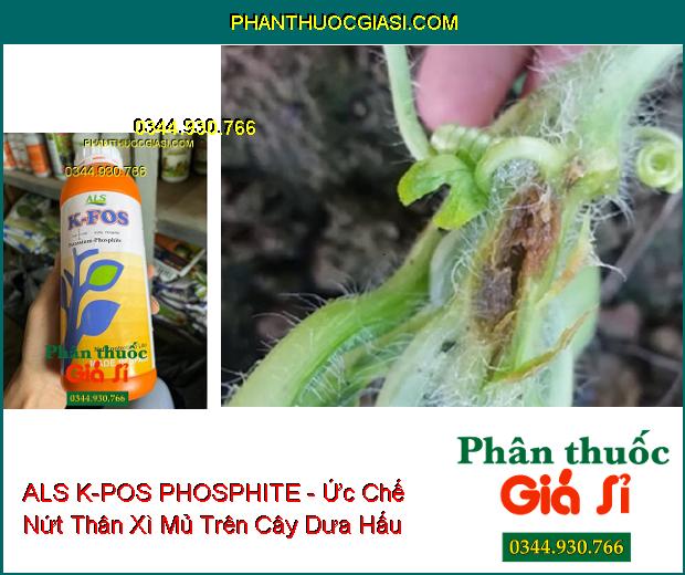 ALS K-POS PHOSPHITE - Ức Chế Nứt Thân Xì Mủ- Vàng Lá- Phục Hồi Rễ