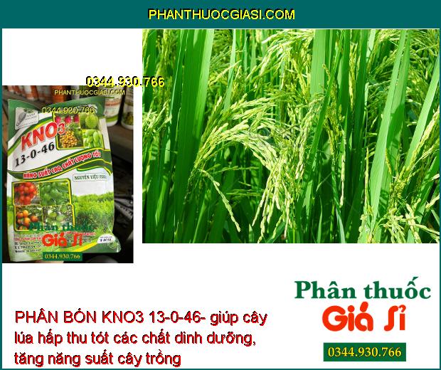 PHÂN BÓN KNO3 13-0-46- Ra Hoa Sớm- Tăng Kích Thước Trái- Tăng Độ Ngọt