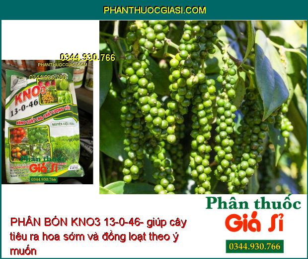 PHÂN BÓN KNO3 13-0-46- Ra Hoa Sớm- Tăng Kích Thước Trái- Tăng Độ Ngọt