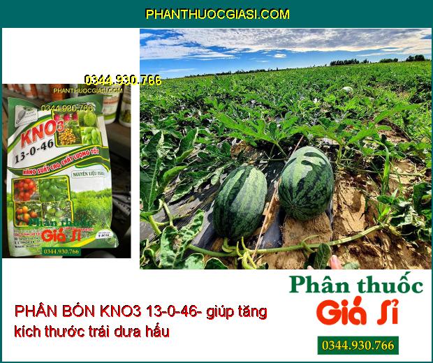 PHÂN BÓN KNO3 13-0-46- Ra Hoa Sớm- Tăng Kích Thước Trái- Tăng Độ Ngọt