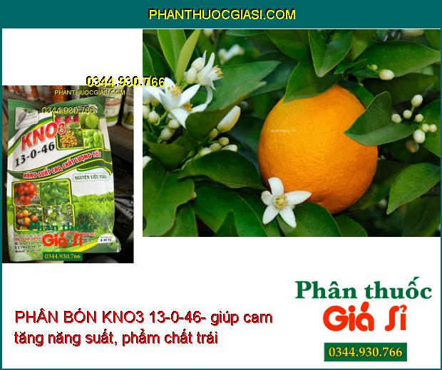 PHÂN BÓN KNO3 13-0-46- Ra Hoa Sớm- Tăng Kích Thước Trái- Tăng Độ Ngọt