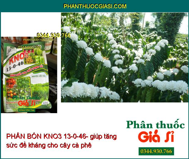 PHÂN BÓN KNO3 13-0-46- Ra Hoa Sớm- Tăng Kích Thước Trái- Tăng Độ Ngọt