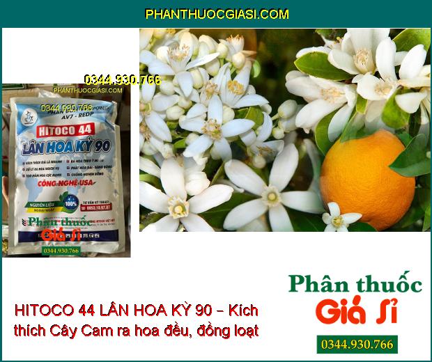 HITOCO 44 LÂN HOA KỲ 90 – Kích Ra Hoa- Tạo Mầm Hoa- Chống Nghẹn Bông