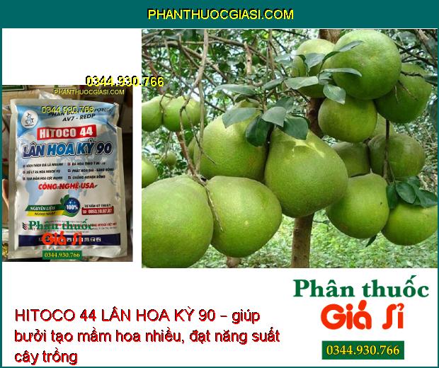 HITOCO 44 LÂN HOA KỲ 90 – Kích Ra Hoa- Tạo Mầm Hoa- Chống Nghẹn Bông