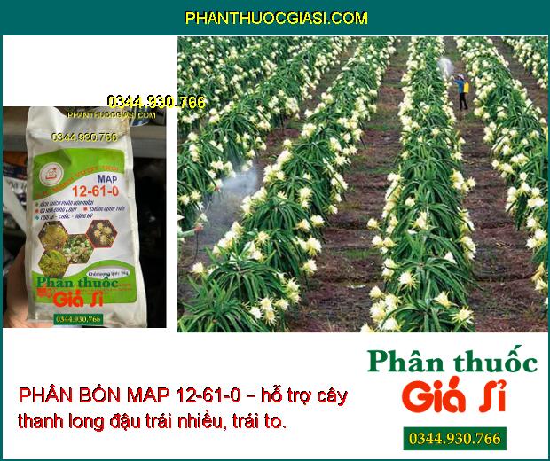 PHÂN BÓN MAP 12-61-0 – Phân Hóa Mầm Hoa- Chống Rụng Trái- To Trái