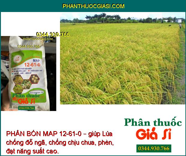 PHÂN BÓN MAP 12-61-0 – Phân Hóa Mầm Hoa- Chống Rụng Trái- To Trái