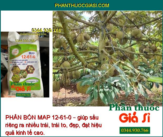 PHÂN BÓN MAP 12-61-0 – Phân Hóa Mầm Hoa- Chống Rụng Trái- To Trái