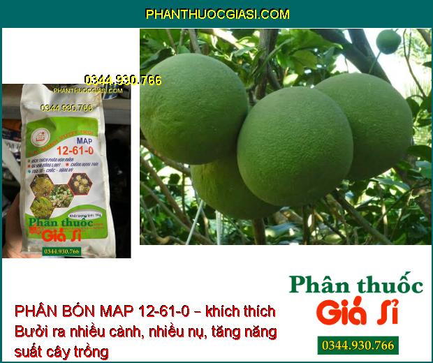 PHÂN BÓN MAP 12-61-0 – Phân Hóa Mầm Hoa- Chống Rụng Trái- To Trái