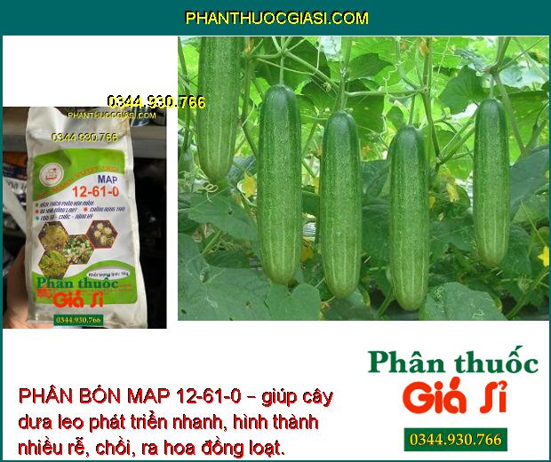 PHÂN BÓN MAP 12-61-0 – Phân Hóa Mầm Hoa- Chống Rụng Trái- To Trái