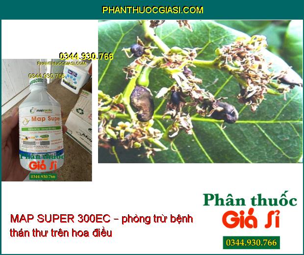 MAP SUPER 300EC – Đặc Trị Bệnh Phấn Trắng- Thán Thư- Lem Lép Hạt