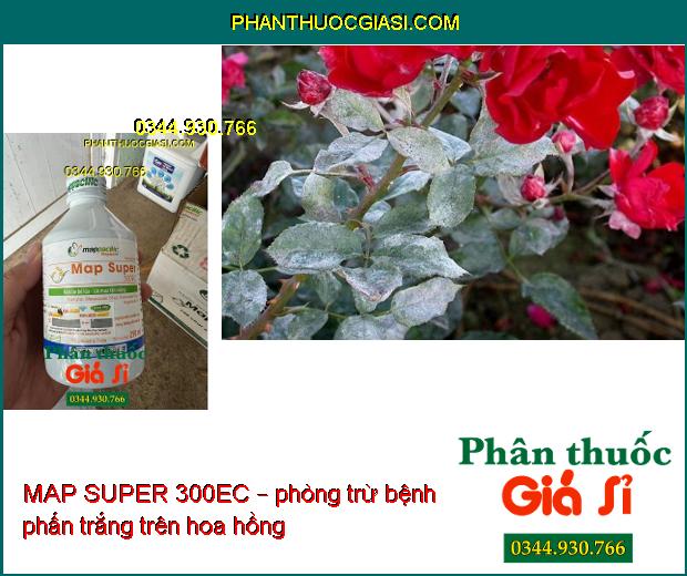 MAP SUPER 300EC – Đặc Trị Bệnh Phấn Trắng- Thán Thư- Lem Lép Hạt