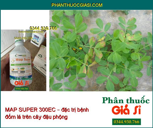 MAP SUPER 300EC – Đặc Trị Bệnh Phấn Trắng- Thán Thư- Lem Lép Hạt