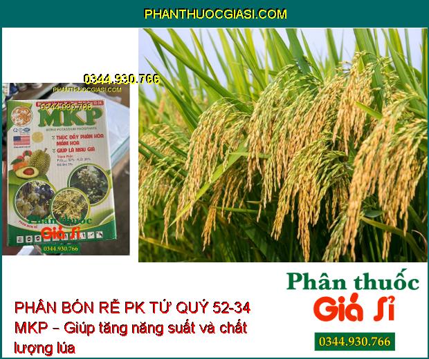 PHÂN BÓN RỄ PK TỨ QUÝ 52-34 MKP – Hoa To- Cuống Khỏe- Dày Lá- Cứng Cây