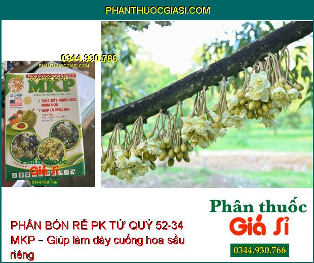 PHÂN BÓN RỄ PK TỨ QUÝ 52-34 MKP – Hoa To- Cuống Khỏe- Dày Lá- Cứng Cây