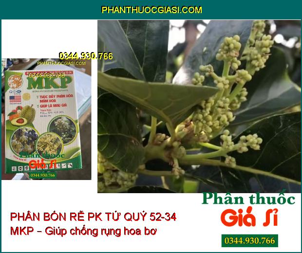 PHÂN BÓN RỄ PK TỨ QUÝ 52-34 MKP – Hoa To- Cuống Khỏe- Dày Lá- Cứng Cây