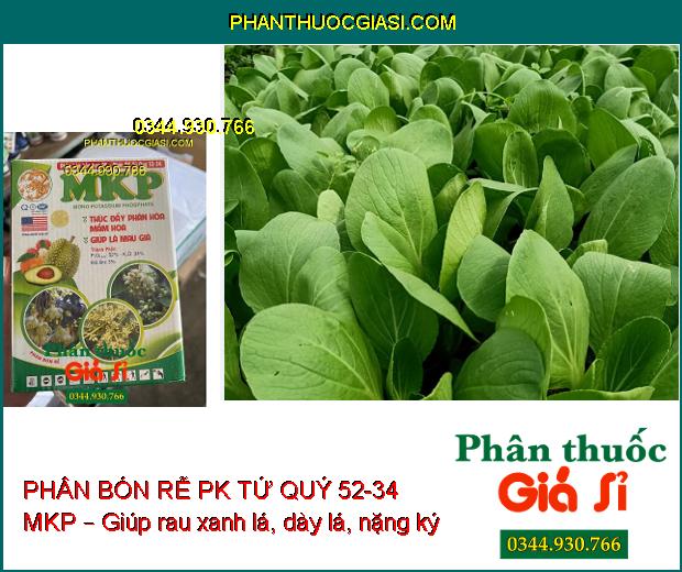 PHÂN BÓN RỄ PK TỨ QUÝ 52-34 MKP – Hoa To- Cuống Khỏe- Dày Lá- Cứng Cây