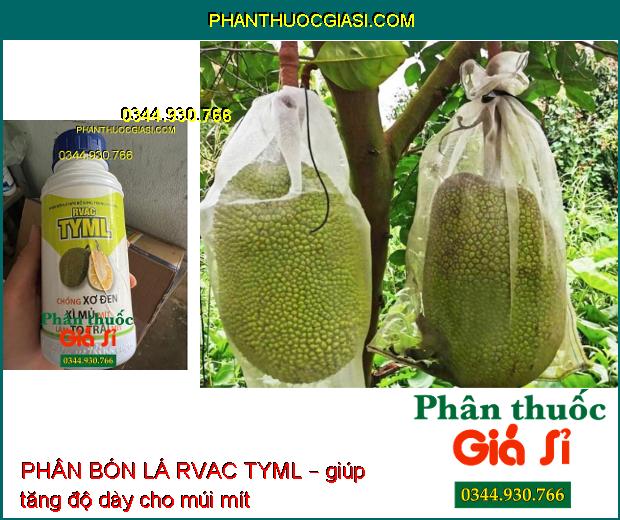 PHÂN BÓN LÁ RVAC TYML – Chống Xơ Đen- Xì Mủ Mít- Làm To Trái Mít