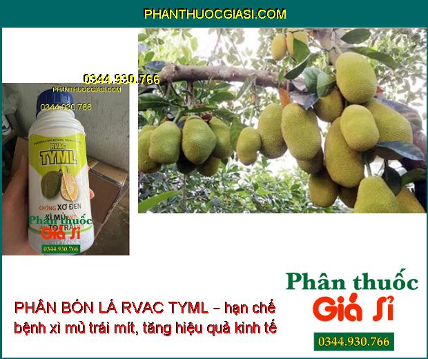 PHÂN BÓN LÁ RVAC TYML – Chống Xơ Đen- Xì Mủ Mít- Làm To Trái Mít