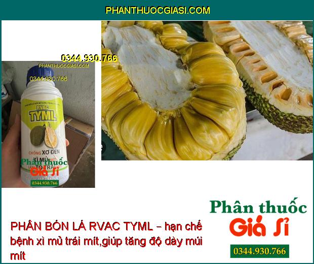 PHÂN BÓN LÁ RVAC TYML – Chống Xơ Đen- Xì Mủ Mít- Làm To Trái Mít