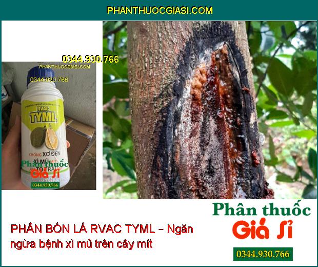 PHÂN BÓN LÁ RVAC TYML – Chống Xơ Đen- Xì Mủ Mít- Làm To Trái Mít