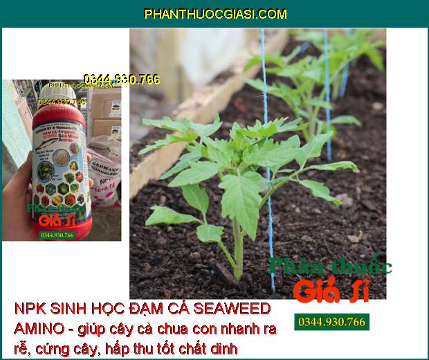 NPK SINH HỌC ĐẠM CÁ SEAWEED AMINO - Mát Cây- Nhú Đọt Mạnh- Phì Trái- Chắc Trái