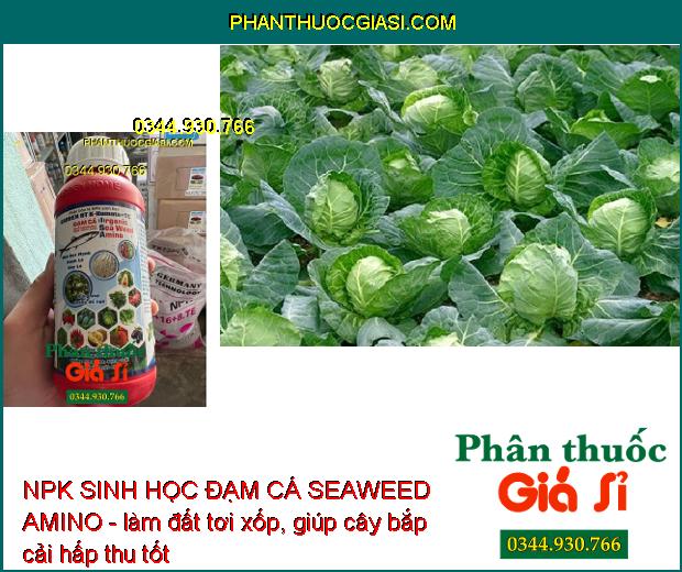 NPK SINH HỌC ĐẠM CÁ SEAWEED AMINO - Mát Cây- Nhú Đọt Mạnh- Phì Trái- Chắc Trái