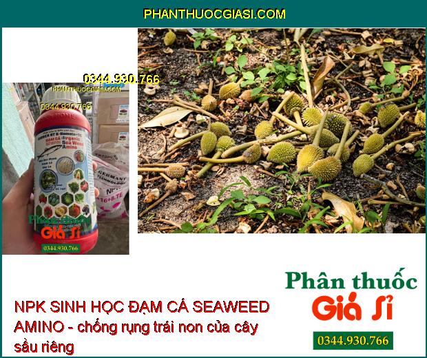 NPK SINH HỌC ĐẠM CÁ SEAWEED AMINO - Mát Cây- Nhú Đọt Mạnh- Phì Trái- Chắc Trái