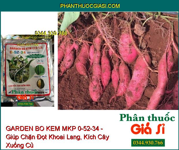 GARDEN BO KEM MKP 0-52-34 - Chuyên Tạo Mầm Hoa- Chặn Đọt- Nuôi Trái