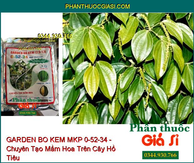 GARDEN BO KEM MKP 0-52-34 - Chuyên Tạo Mầm Hoa- Chặn Đọt- Nuôi Trái