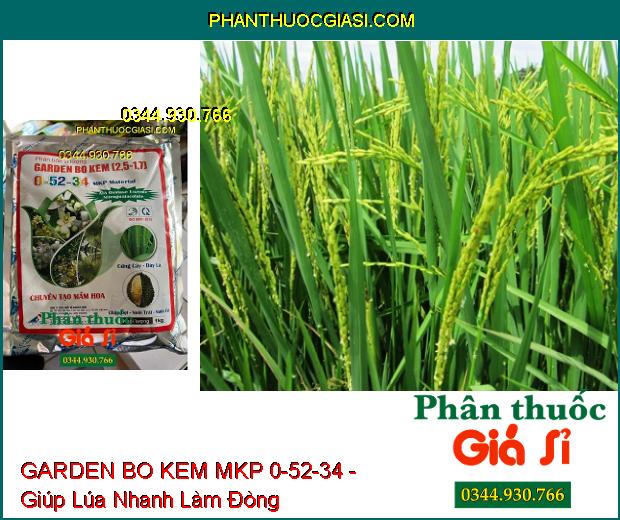 GARDEN BO KEM MKP 0-52-34 - Chuyên Tạo Mầm Hoa- Chặn Đọt- Nuôi Trái